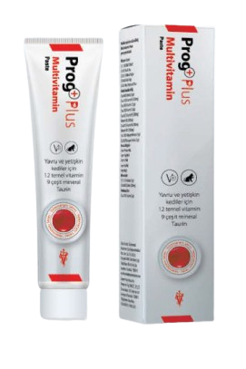 PROGPLUS MULTİVİTAMİN PASTE (100 GR)