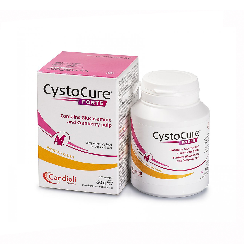 CYSTOCURE&reg; FORTE (30 g Pulver)