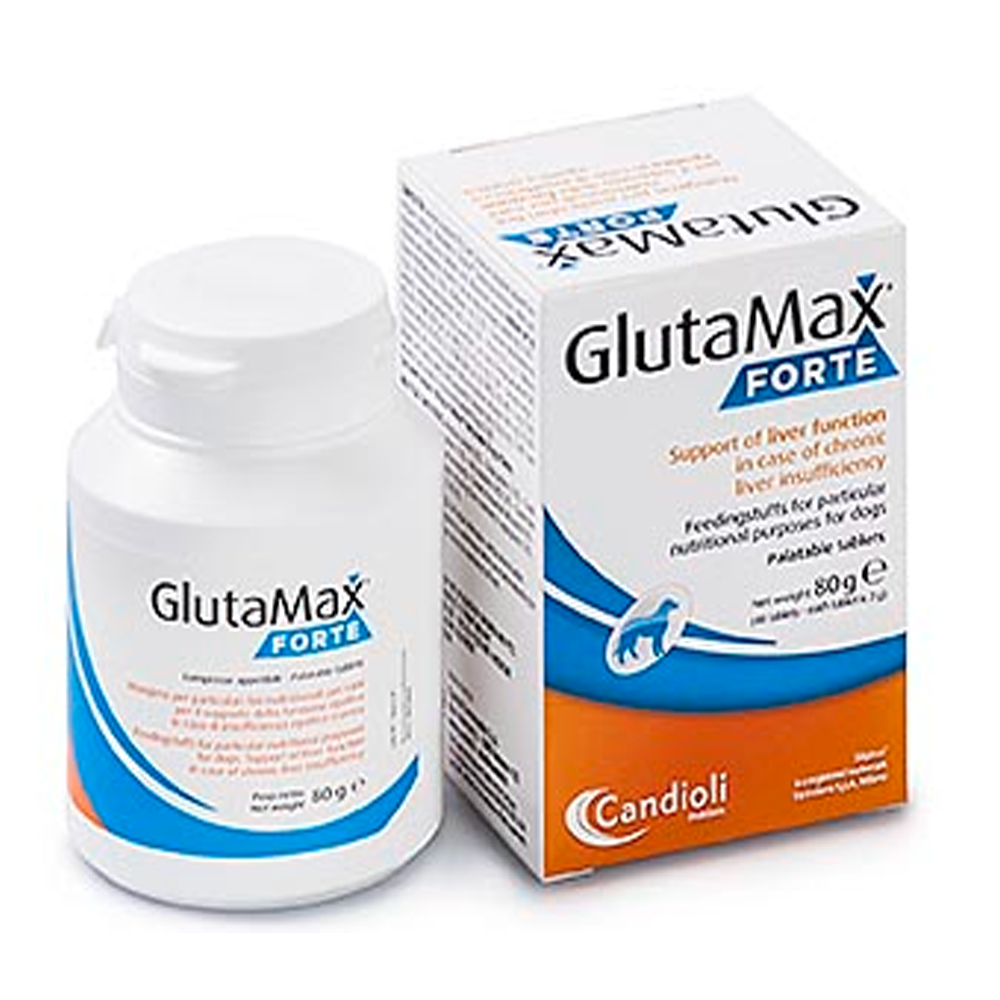 GLUTAMAX FORTE (20 Tabletten)