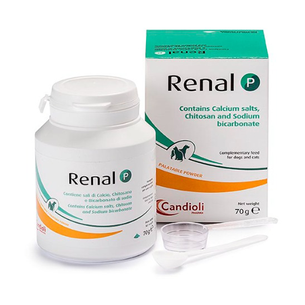 RENAL P (70 g Powder)